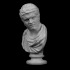 Bust of Caracalla at The Réunion des Musées Nationaux, Paris image