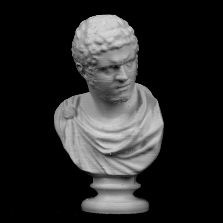 Bust of Caracalla at The Réunion des Musées Nationaux, Paris