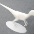 Velociraptor image