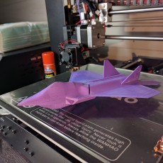 Picture of print of F22 Flying Glider Powered by an Elastic Band