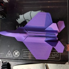 Picture of print of F22 Flying Glider Powered by an Elastic Band