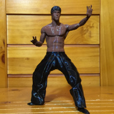 Picture of print of bruce lee