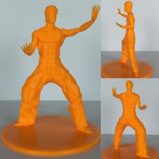 Picture of print of bruce lee
