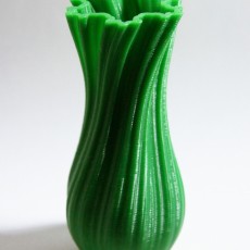 Picture of print of Fractal Vase (hollow version)
