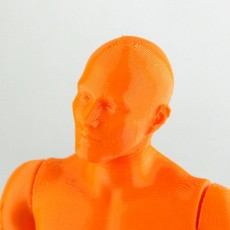 Picture of print of Male Articulated Figure - Print in Place & Support Free