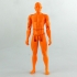 Male Articulated Figure - Print in Place & Support Free print image