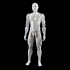 Male Articulated Figure - Print in Place & Support Free image