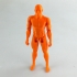 Male Articulated Figure - Print in Place & Support Free print image