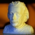 Einstein Bust (14K) image