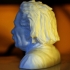 Einstein Bust (14K) image