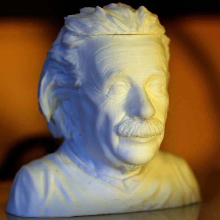 Einstein Bust (14K)