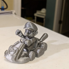 Picture of print of Mario Kart