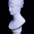 Ideal Head of a Woman at The Kimbell Art Museum, Fort Worth, America image