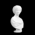 Marble Bust of a Roman Woman at The British Museum, London image
