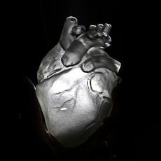 Picture of print of Human Heart This print has been uploaded by Giulia Nallbani