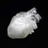 Human Heart print image