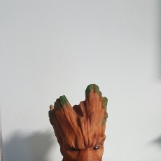Picture of print of Groot vase plant - One Piece
