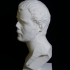 Marble Portrait of a Man at The Metropolitan Museum of Art, New York image