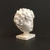 Head of a Roman Youth at The Dallas Museum of Art, Texas image