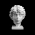 Head of a Roman Youth at The Dallas Museum of Art, Texas image