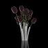 Coral Vase image