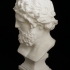 Bust of Zeus at The Réunion des Musées Nationaux, Paris image