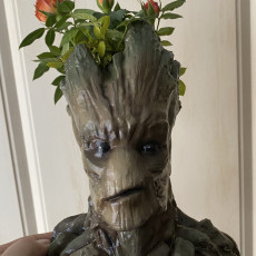Picture of print of GROOT VASE - 2 Piece Support free!