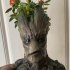 GROOT VASE - 2 Piece Support free! print image