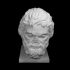 Marble head of a Bearded Man at The Metropolitan Museum of Art, New York image