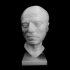 Marble Head of a Man at The Metropolitan Museum of Art, New York image