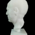 Marble Head of a Man at The Metropolitan Museum of Art, New York image