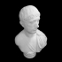 Marble Portrait Bust of a Man at The Metropolitan Museum of Art, New York image