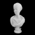 Marble Portrait Bust of Matidia at The Metropolitan Museum of Art, New York image