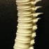 Spine Candle Holder image
