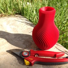 Picture of print of Parametric Vase
