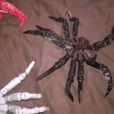 Picture of print of Articulated Facehugger