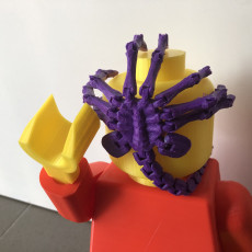 Picture of print of Articulated Facehugger