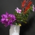 alastair's smart vase/cup image