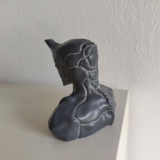 Picture of print of warframe excalibur_bust head