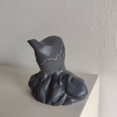 Picture of print of warframe excalibur_bust head