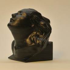 Picture of print of Bust of Eleonora Duse at The Gallery of Modern Art of the Palazzo Pitti in Florence, Italy