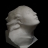 Bust of Eleonora Duse at The Gallery of Modern Art of the Palazzo Pitti in Florence, Italy image