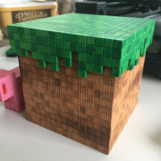 Picture of print of Minecraft Box