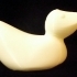 duck 3D image