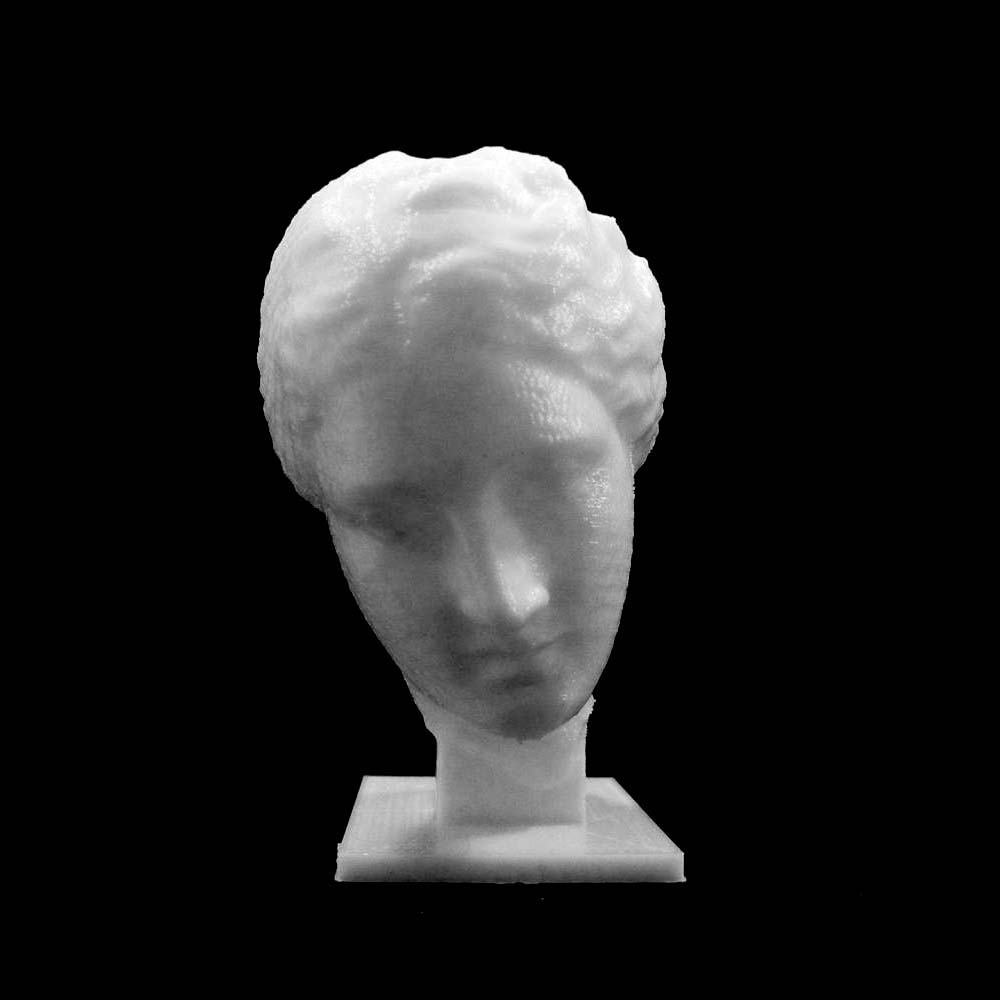 Head of Venus at The Réunion des Musées Nationaux, Paris