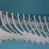 Jurassic plate rack image