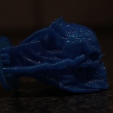 Picture of print of Great Skull Ring This print has been uploaded by Dylan Gerber
