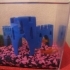 Fish castle image