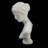 Bust of Venus of Arles at The Louvre, Paris image