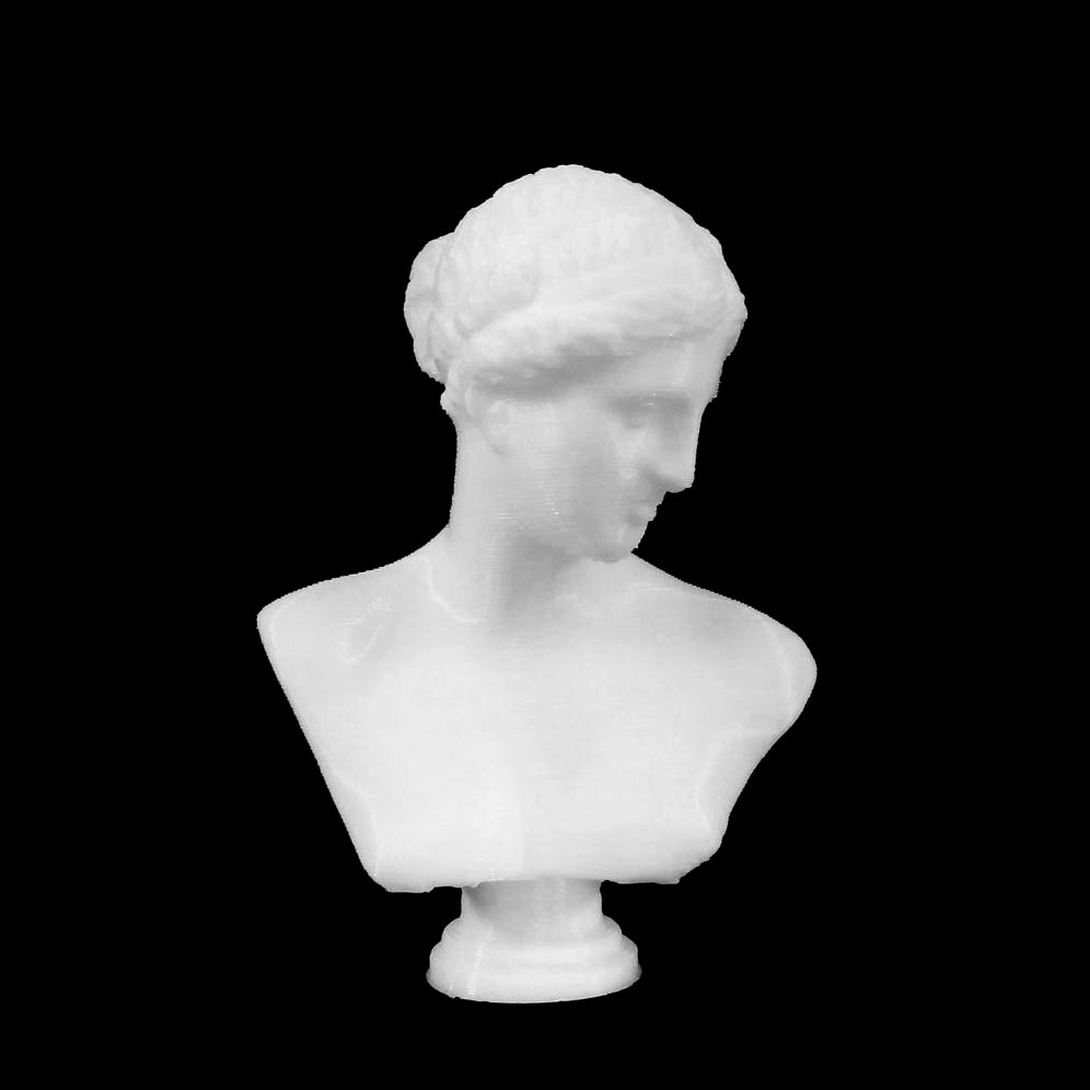 Bust of Venus of Arles at The Louvre, Paris